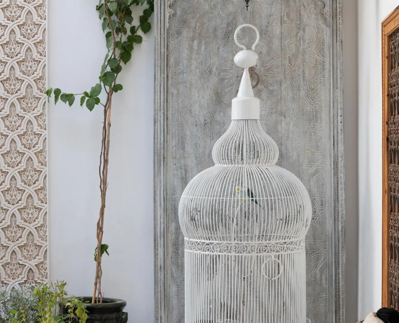 Riad Botanica Marrakesh 0*,